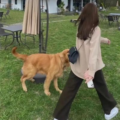 情深几许